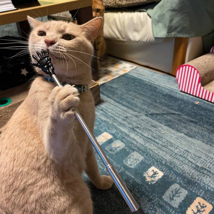 C1e4967f b60c 4f54 8dc9 89259b134b6c 1698151154154