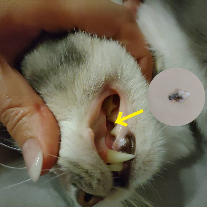 C1e4cfd0 29fa 4302 89a1 6e0c0afe8cfb 1693193575381