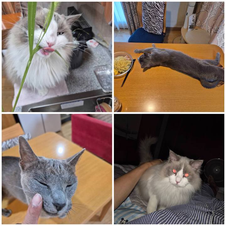 C1e4f6d3 2ff6 4589 9988 376322585c39 1753956556103