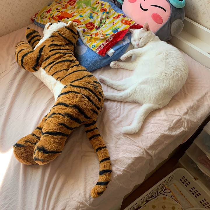 C1e4faf6 2582 4c4c 8c14 ccd709b951b1 1569714103003