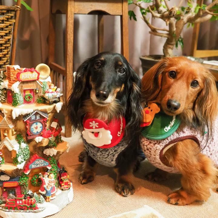 C1e54f19 9abe 49a7 9149 3c237d553b88 1766653510179