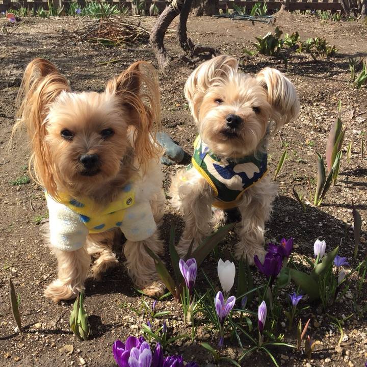 C1e55300 79fe 43b9 80e4 9a2e7de57b06 1524010824097