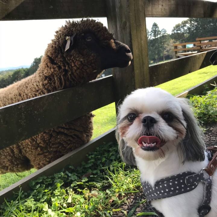 C1e5ae39 e424 4ea3 978b 056fbd2478db 1567850325148