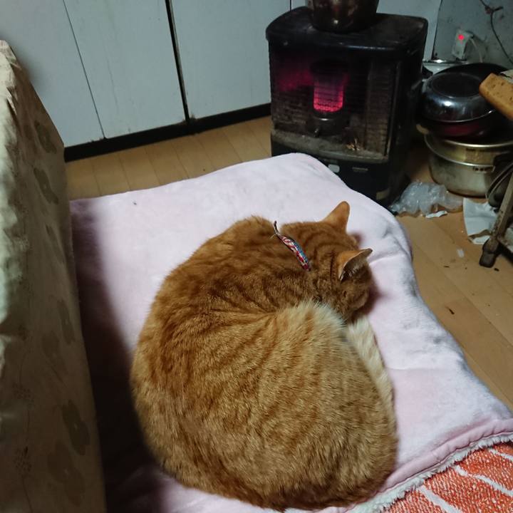 C1e5bd03 4553 49fc ad61 fc8f01db6d22 1608446173420