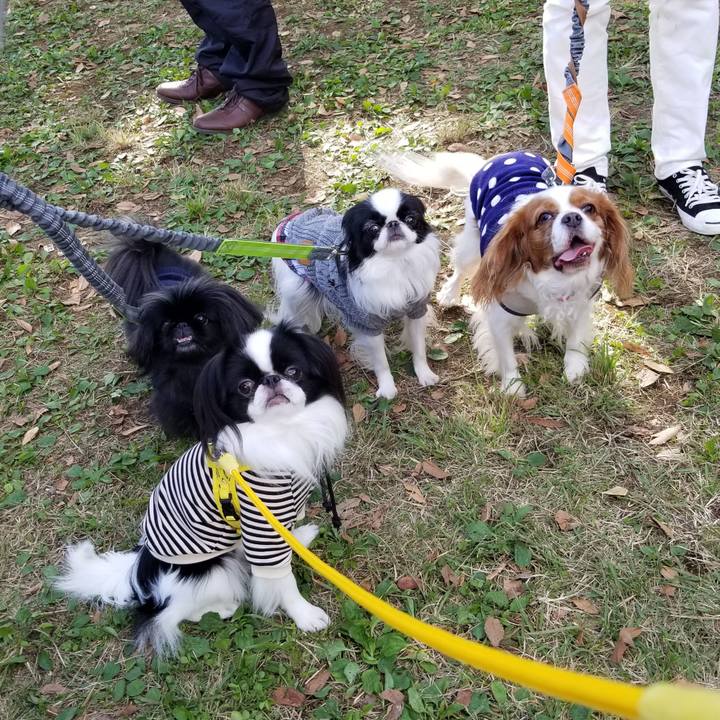 C1e60d02 3303 43a3 b531 1828df0127f1 1667127172588