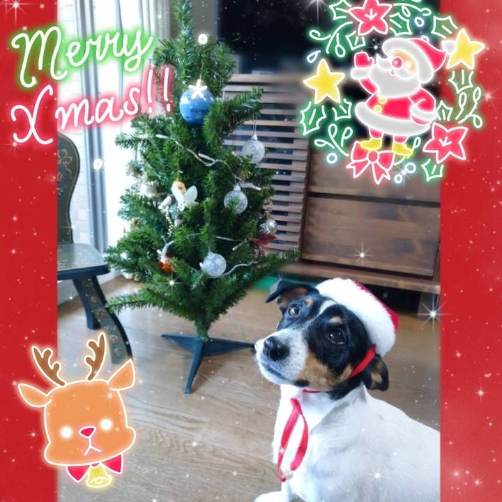 C1e613b7 72be 4bbc a8ae ce7c96bdaade 1608794739526