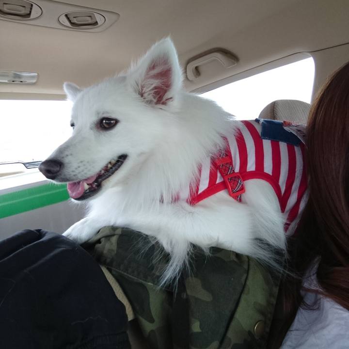 C1e61f40 39b8 4e93 a4ca fc888568b16a 1556344310642