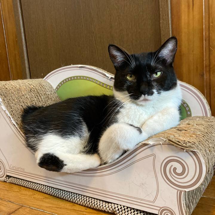 C1e6316d 41cb 409d a175 af4b5ae46d8e 1713661529910