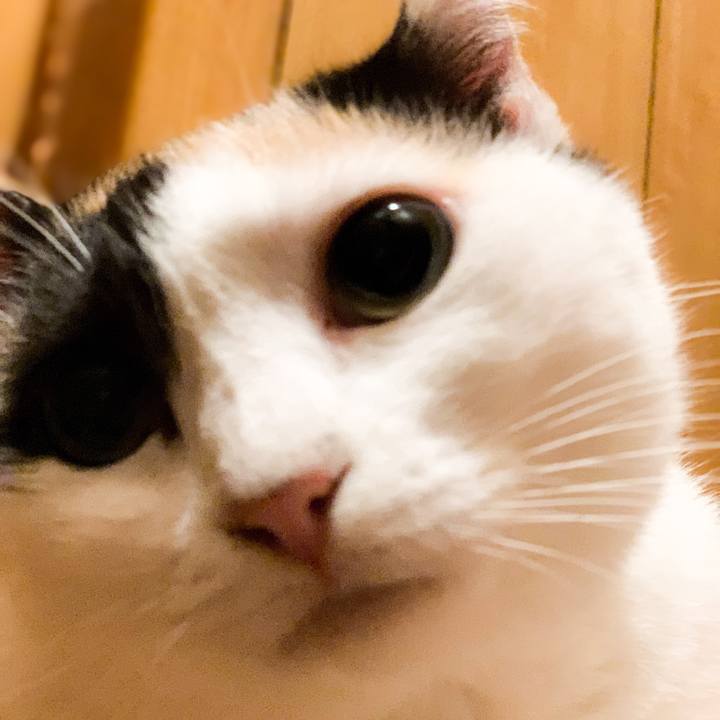 C1e6337b 647f 4a0e b1df 3d6961ae8bb5 1565051931978