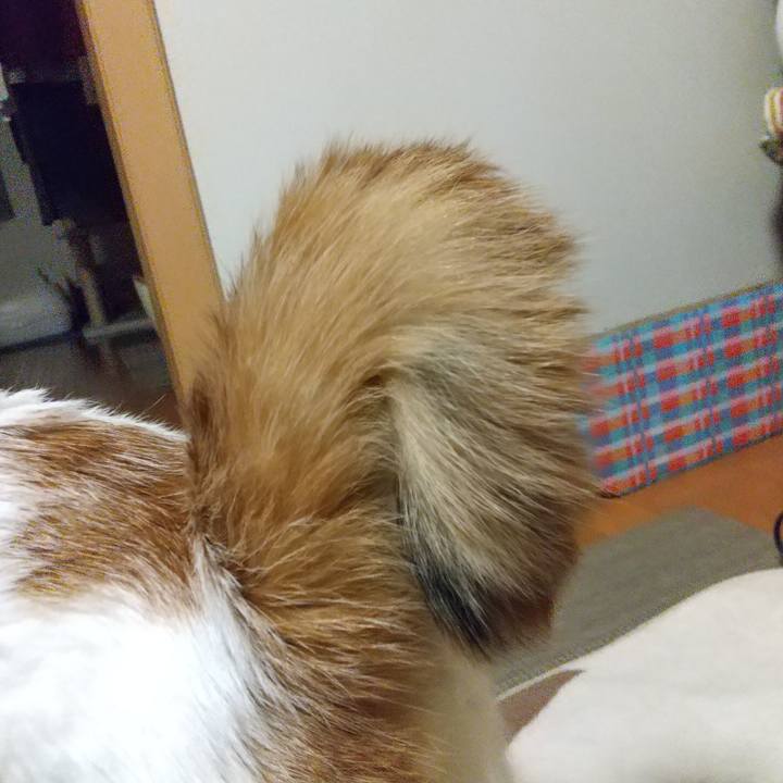 C1e648db b9af 4148 a8be 9bfa918eb4b7 1589373364290