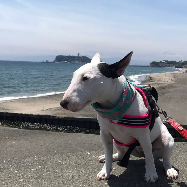 C1e6ab87 0a93 4b31 b16b f0c1c74c6b8d 1528632810041