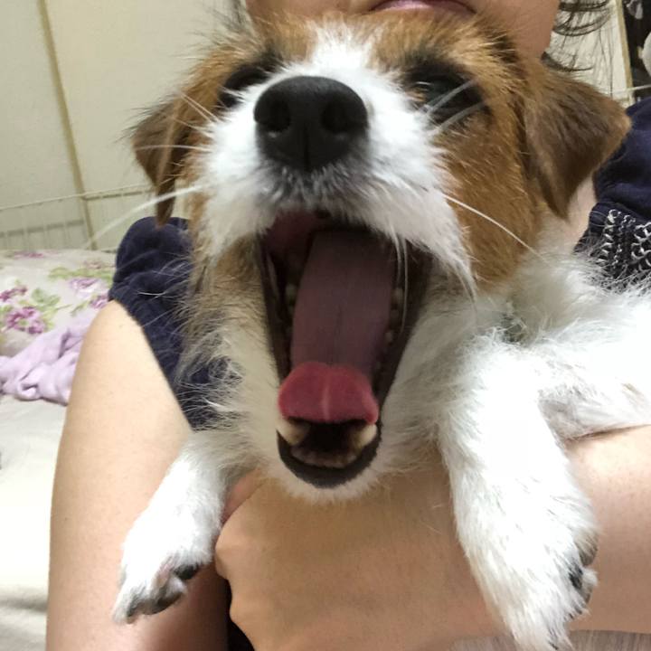 C1e6d0c6 0ee0 40c1 8e2b 6b85d0b10a11 1531671953203