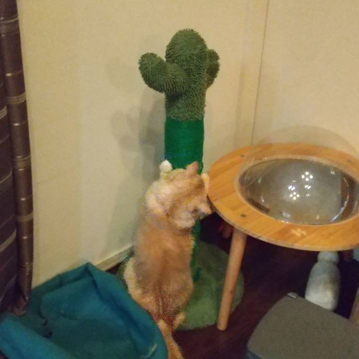 C1e6f2f2 526a 4978 845f c50b5bd9831e 1638740747345