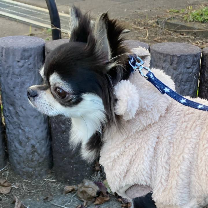 C1e7463e 9035 4646 bae3 41674c4d8584 1641216580638