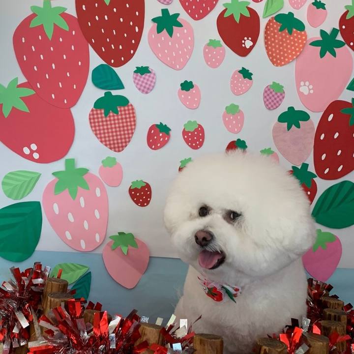 C1e74c65 20e7 4904 b88c 55fb708f53f0 1651895859712