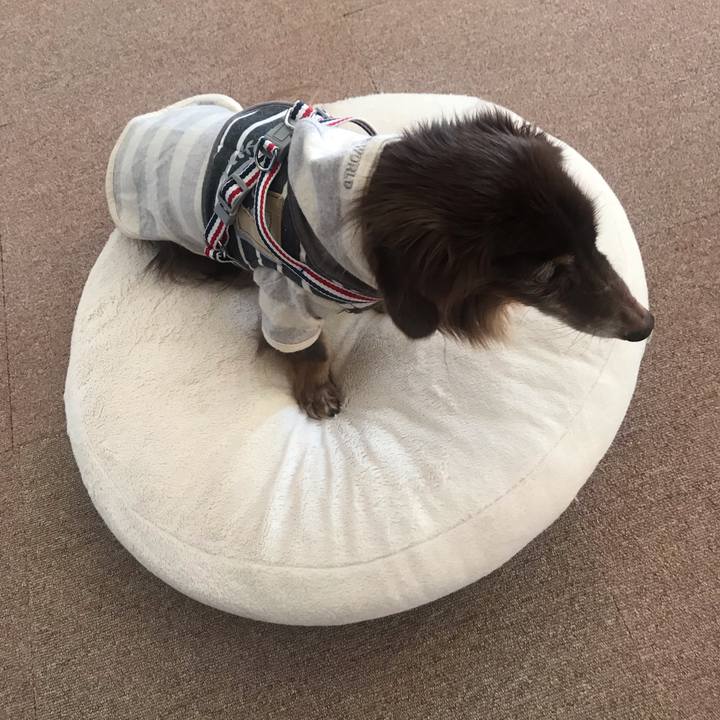 C1e75aab 871a 4f02 a405 fcfc15fec782 1577587860505