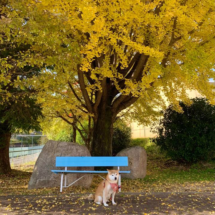 C1e7a5c1 26df 48af 980a 5710cc0b2ee2 1667638851341