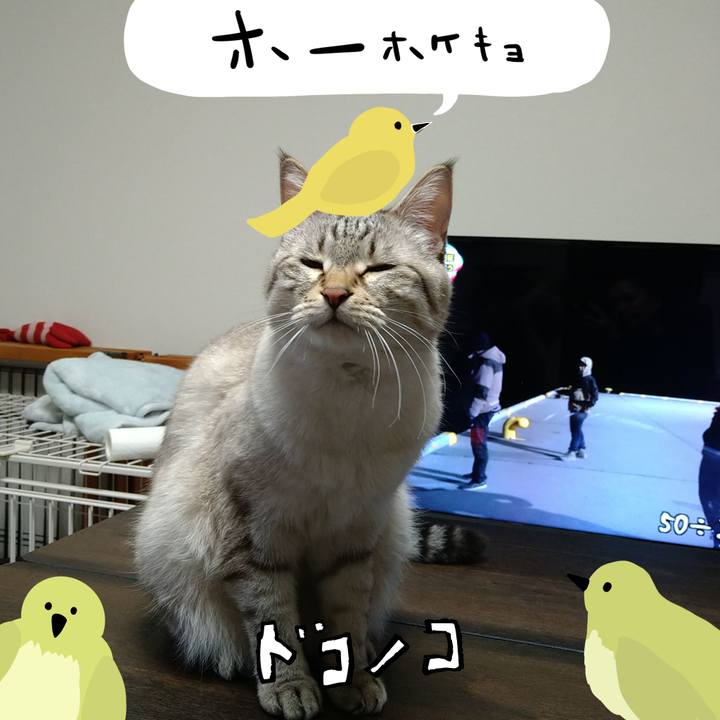 C1e7acfa 6cd8 4092 89f0 005b4b37c4a1 1711020946742