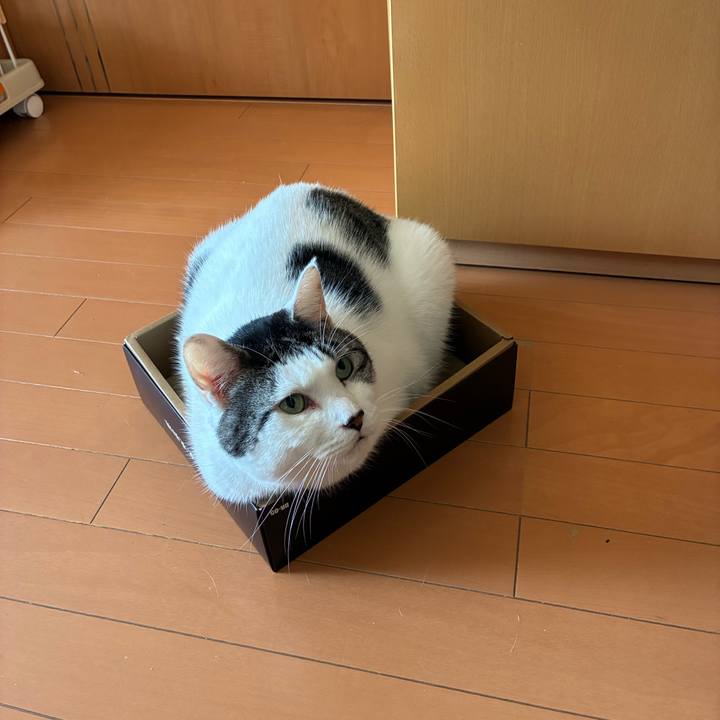 C1e7b036 6ae1 4246 8cc7 dea7715703e3 1764802395720