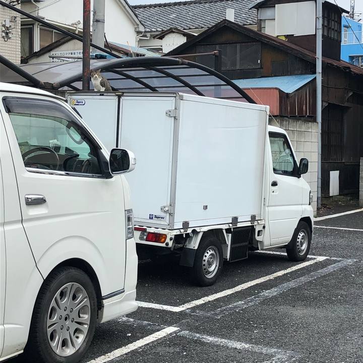 C1e7b23a c249 4876 bdd2 9c2cd362e21b 1561285114258