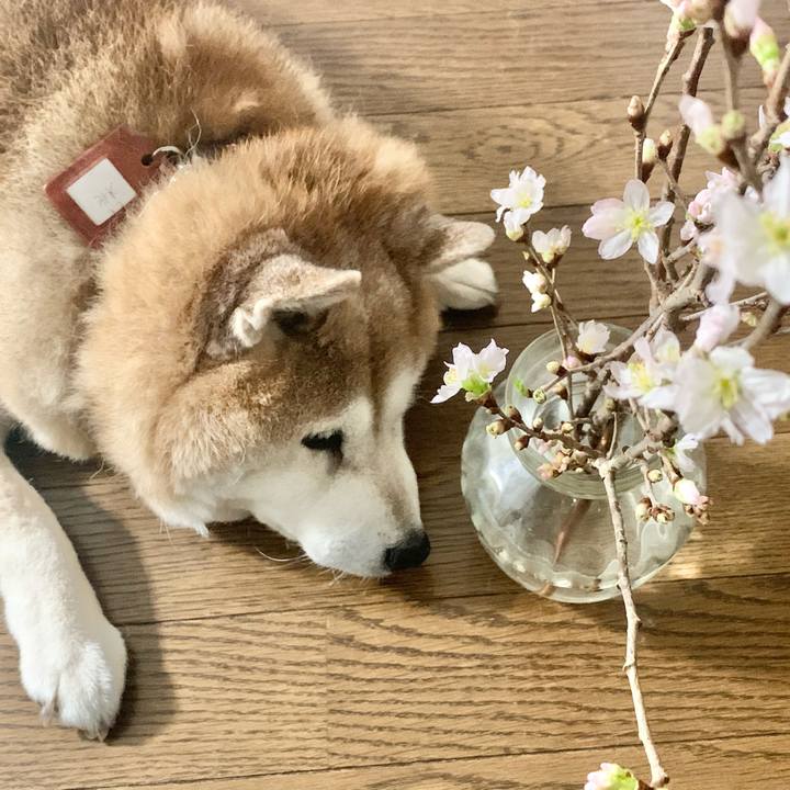 C1e7f876 9fb3 4316 b732 536980108f58 1611317152641