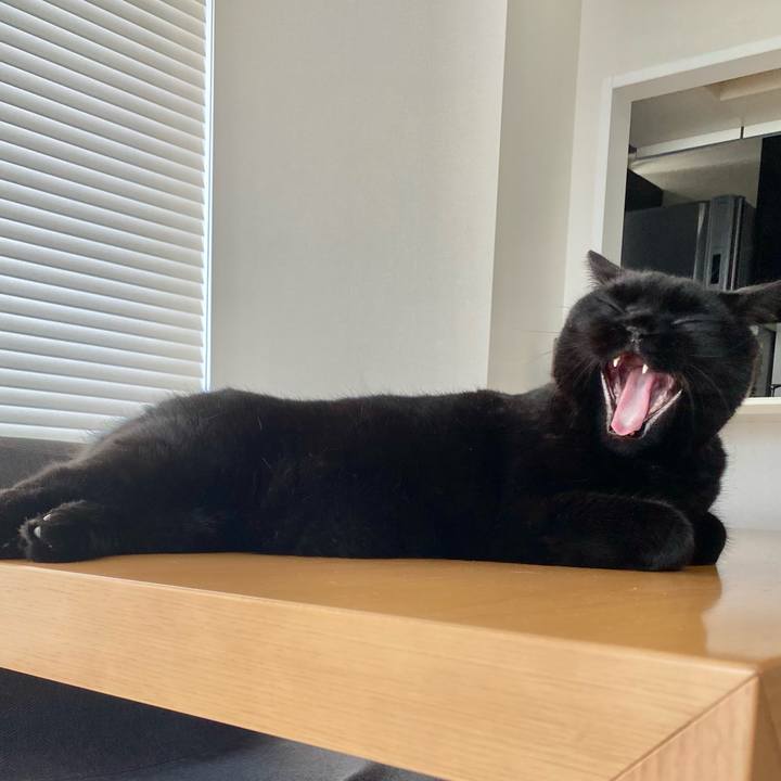 C1e7fd68 d9cf 4854 b0d4 bb9f2b3752ba 1632353656781