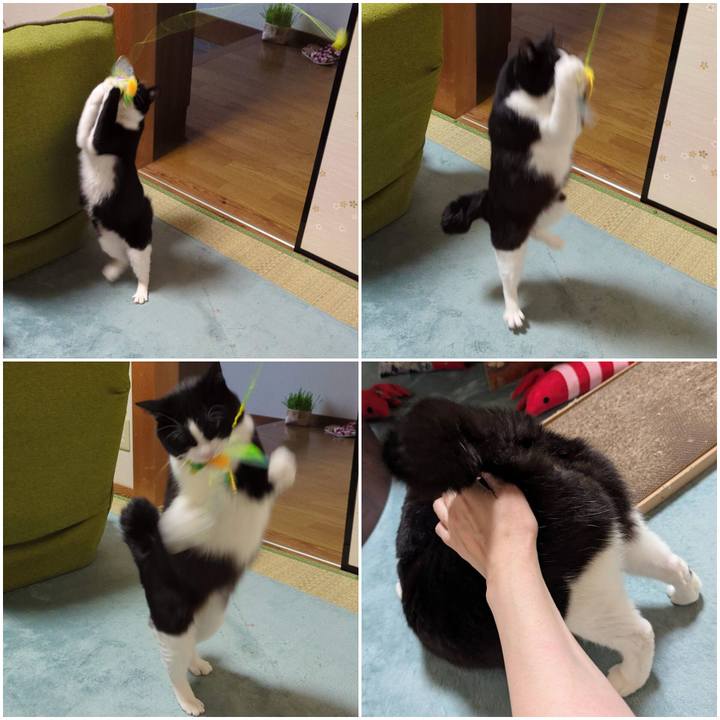 C1e817ff 364f 4a65 831e 8ea252dfe3d5 1747459526196