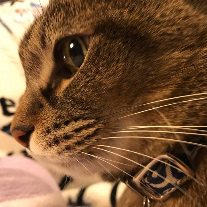 C1e8258b b44d 4c5e a6ef 4daaf4f2cccf 1547723622156