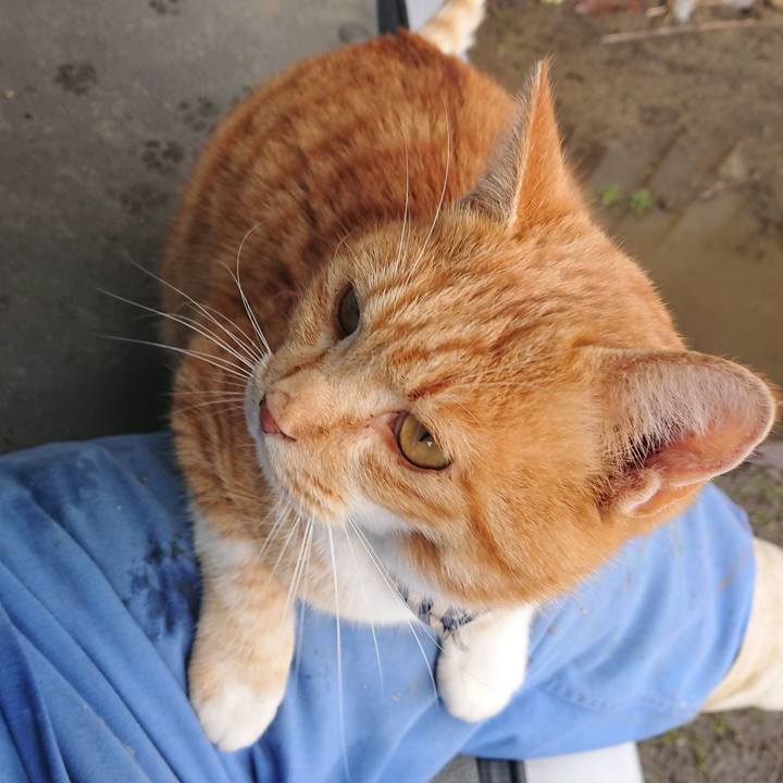 C1e84036 3118 4746 ae08 15d8dc0a93cc 1575166473381