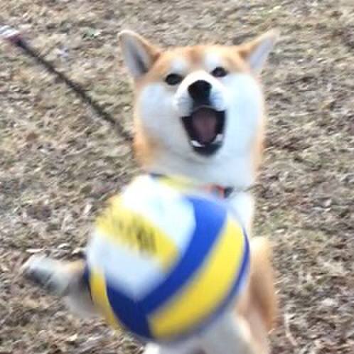 C1e84427 8630 4640 b6a5 f1607e34755c 1516535554134