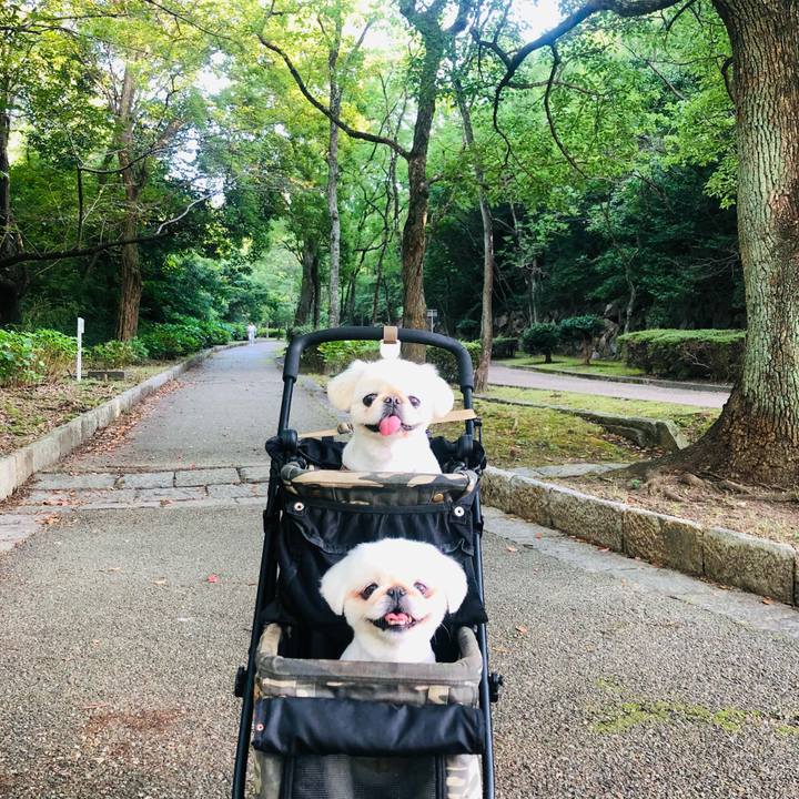 C1e84e47 5d73 47b3 a6a9 105ad4c8123a 1627859432087