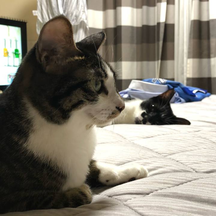 C1e86797 4a05 449f bae6 89efd9cc4aa9 1535057744041