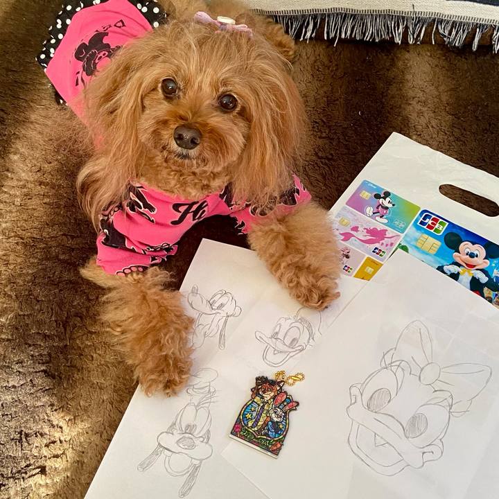 C1e8750a 9387 4a05 8972 e1b099417bb8 1761785077537