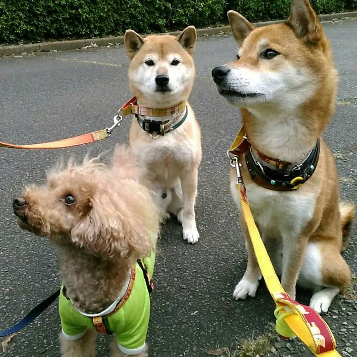 C1e882df ab3b 425b 8714 78f4fd8b543a 1571129206211