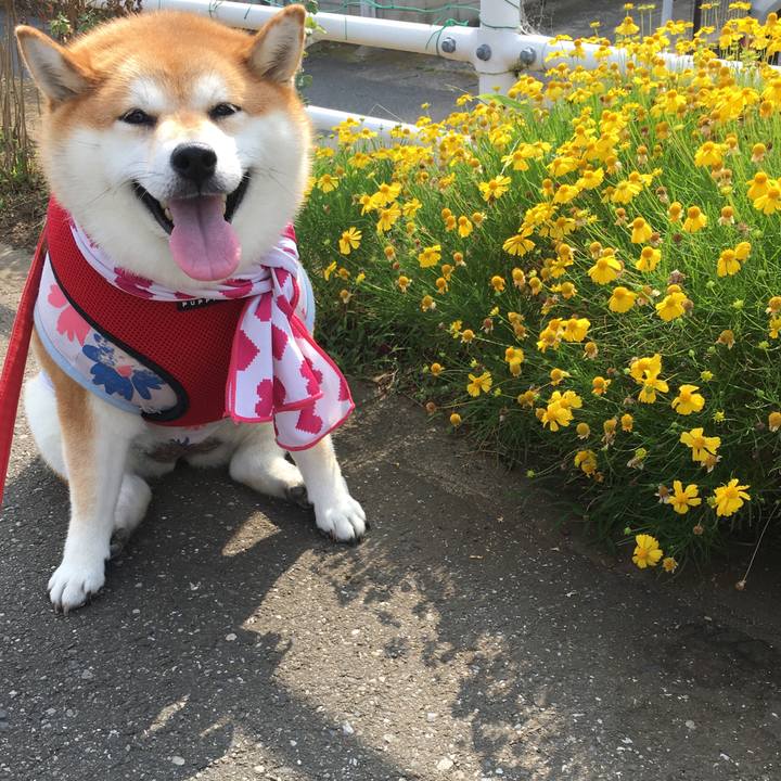 C1e89b2e d8be 4a65 b491 e1a6b0d51ae2 1596938540593