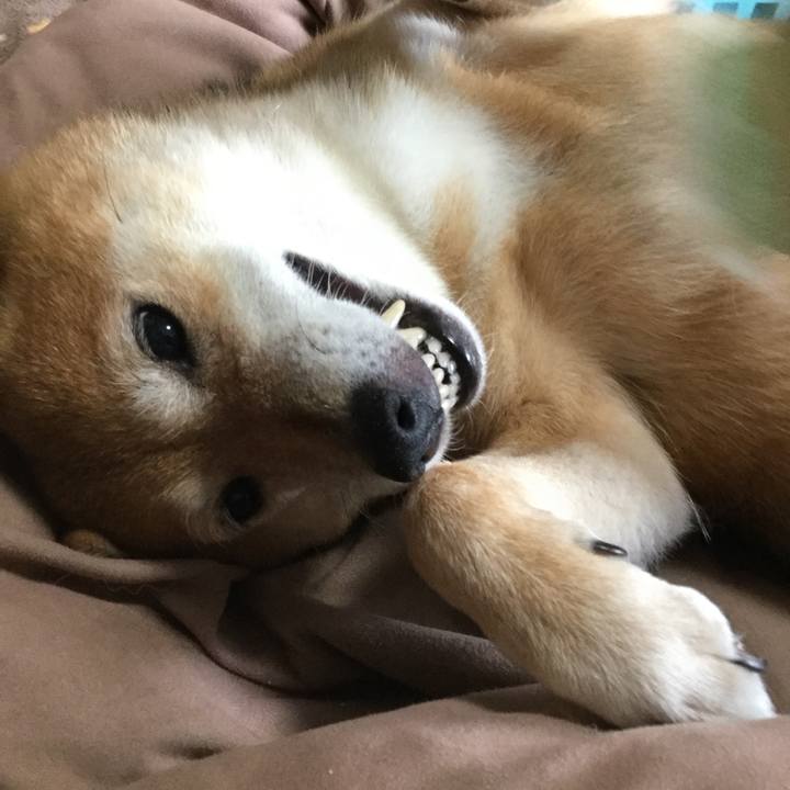 C1e8c622 33c9 4e6a b92b 7969508714de 1563150863307