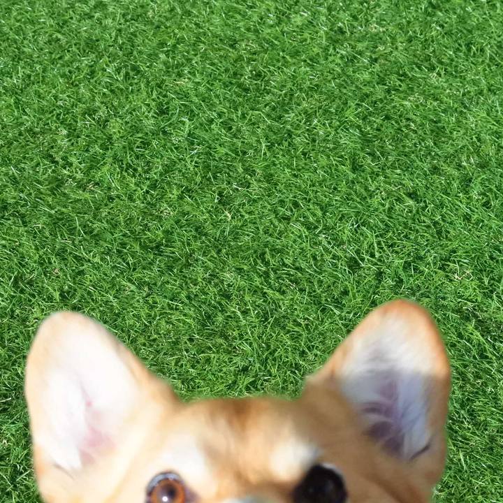 C1e8f913 46c9 4741 8313 dc1baf17b66a 1613212245731