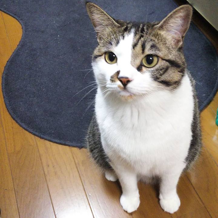 C1e91307 206a 4df2 8553 8bd76cfe4c70 1658578004796