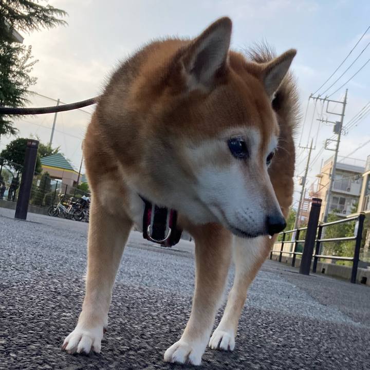 C1e91904 c728 4593 ba62 75e807792e88 1665390274767