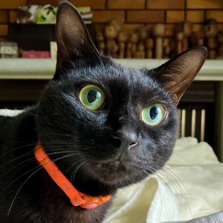 C1e92a97 0ba4 4f74 92f7 f78430ef2ac6 1727250174781