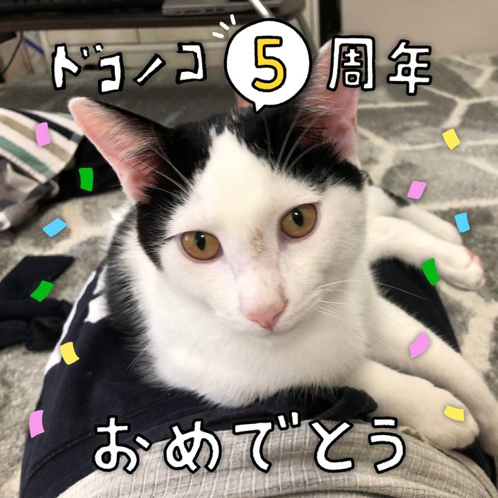 C1e93e0b 08ff 41a4 91ec 9ea0331a4c54 1623037718297