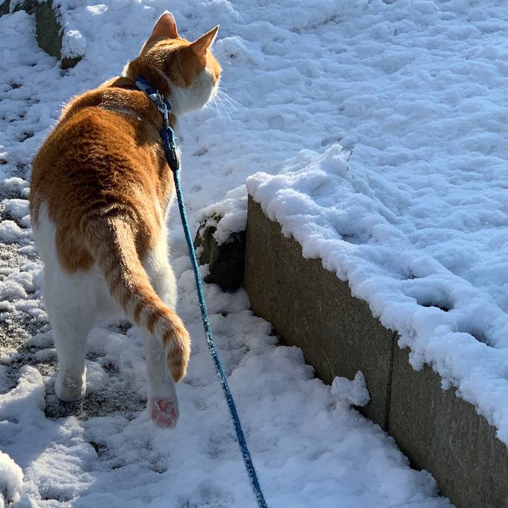 C1e98ef8 2bdf 4c2c bf41 7c2f62233304 1581390071876