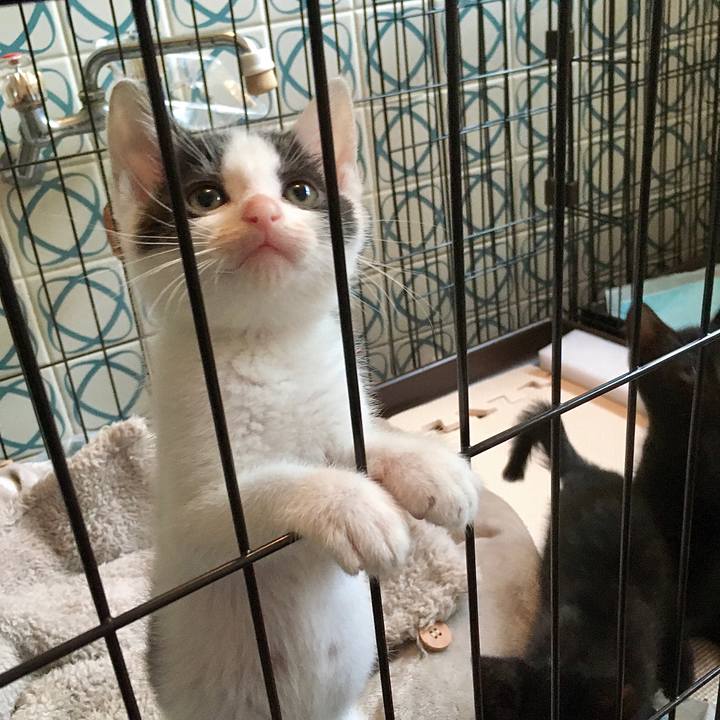 C1e99f7d b678 4c6c 8ef5 1fcedfc5d9bf 1625382262288