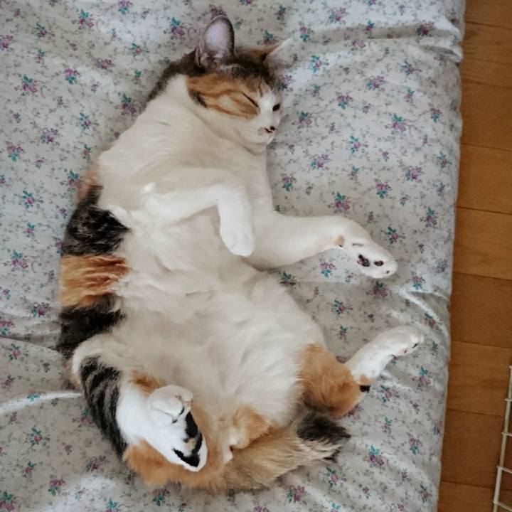 C1e9a6cb bd38 465d 9420 32d4e84c6838 1514610542893