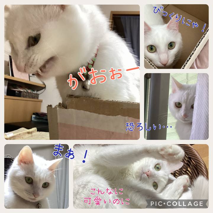 C1e9e36a 45b7 491e 9ff9 67690a884a49 1684810373198