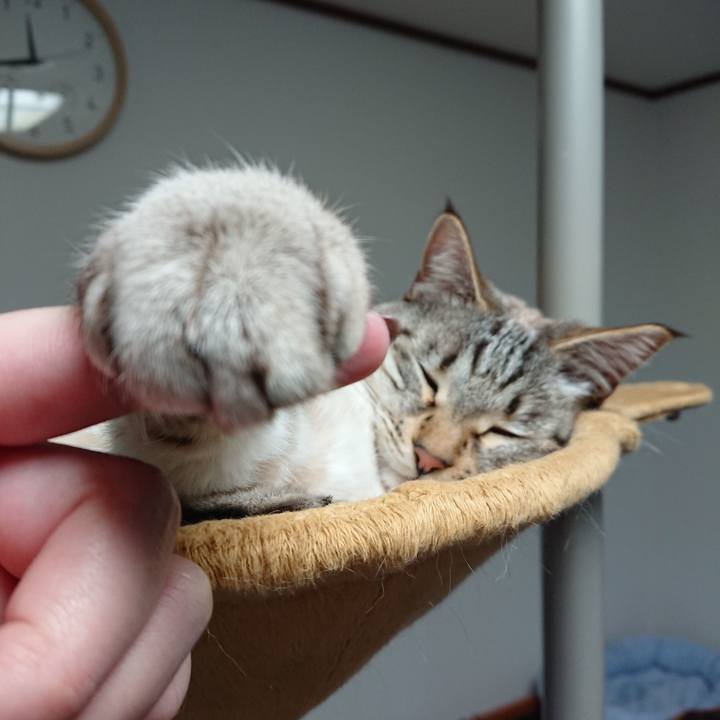 C1e9e380 e7d2 41a4 9dcc 181aed7fe90a 1555857996032