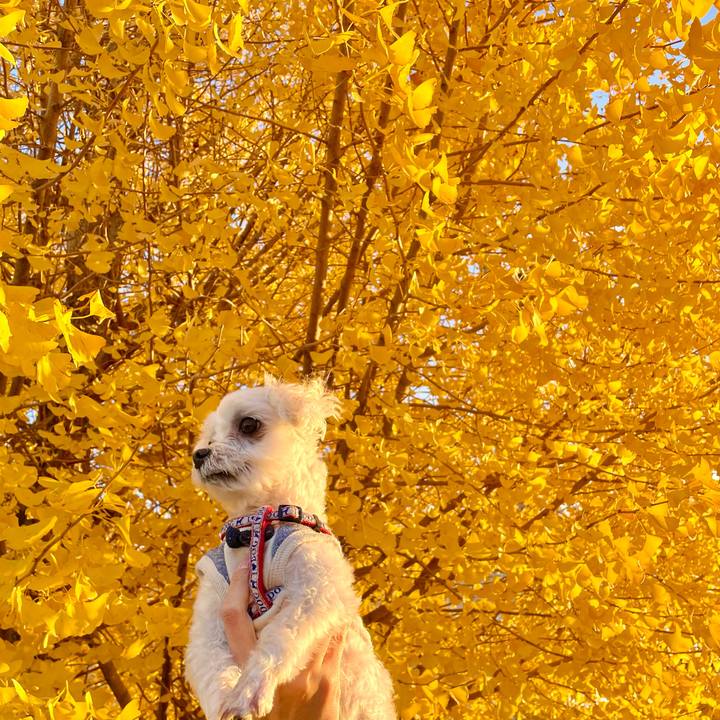 C1e9f3e1 8b8a 4f3b b826 d27d3e93846e 1639550645892