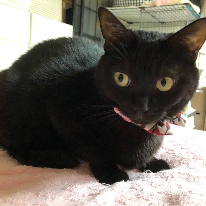 C1e9f623 331a 4c8f a316 44799cf1d46e 1571441045909