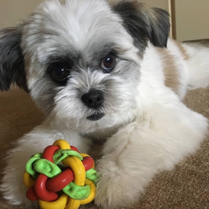 C1e9f975 10f6 472e 809d e85ae1cd9226 1525741056364