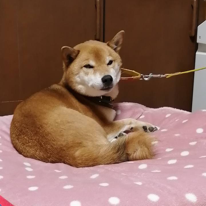 C1ea0d69 88ac 4b6e b5d6 2022a70603a0 1610985157336